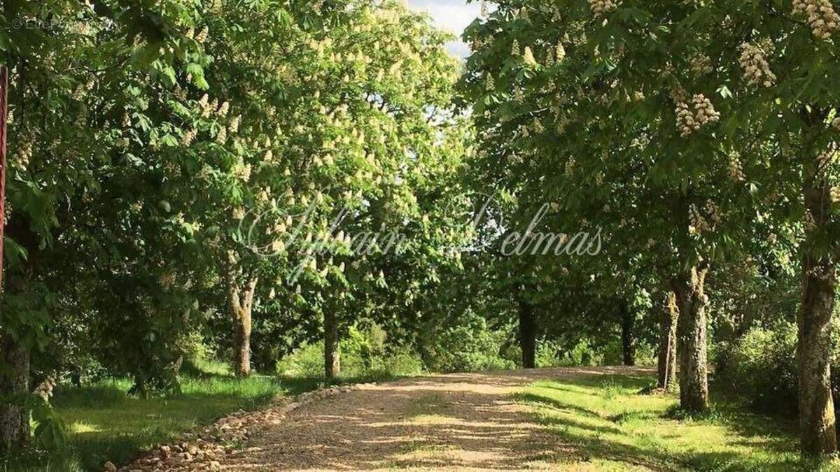 Propriete à vendre 11 pièces LANGEAIS (37) - photo 23