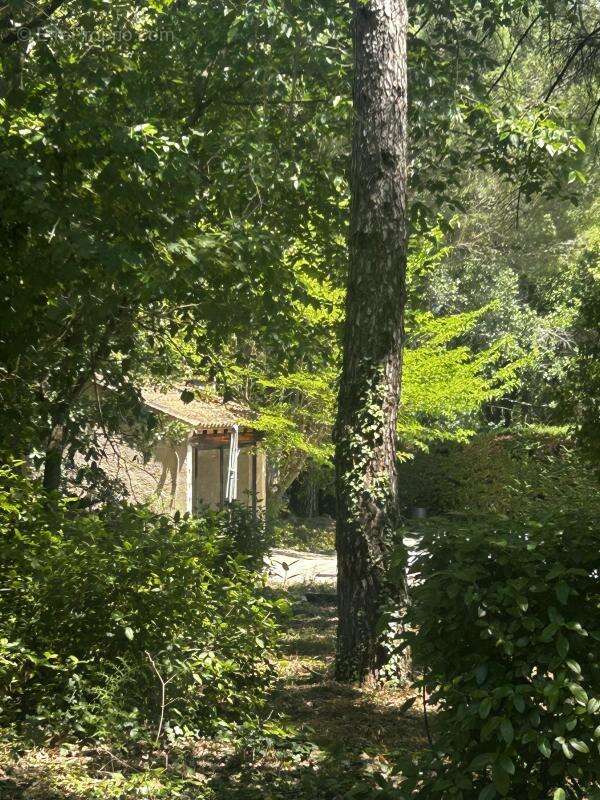 Secteur privilégié, vente villa sur 6123 m² de terrain - photo 5