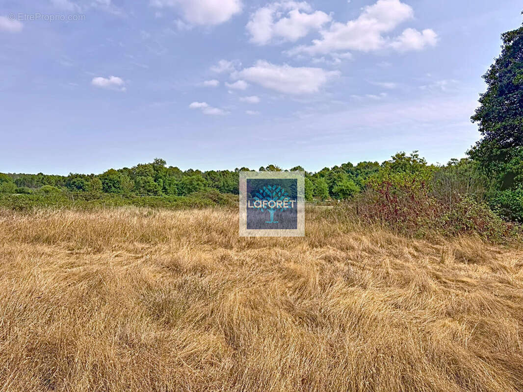 Terrain à ETAULIERS