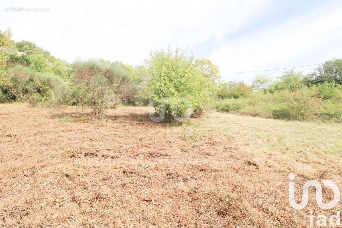 Photo 4 - Terrain à SAINT-AFFRIQUE