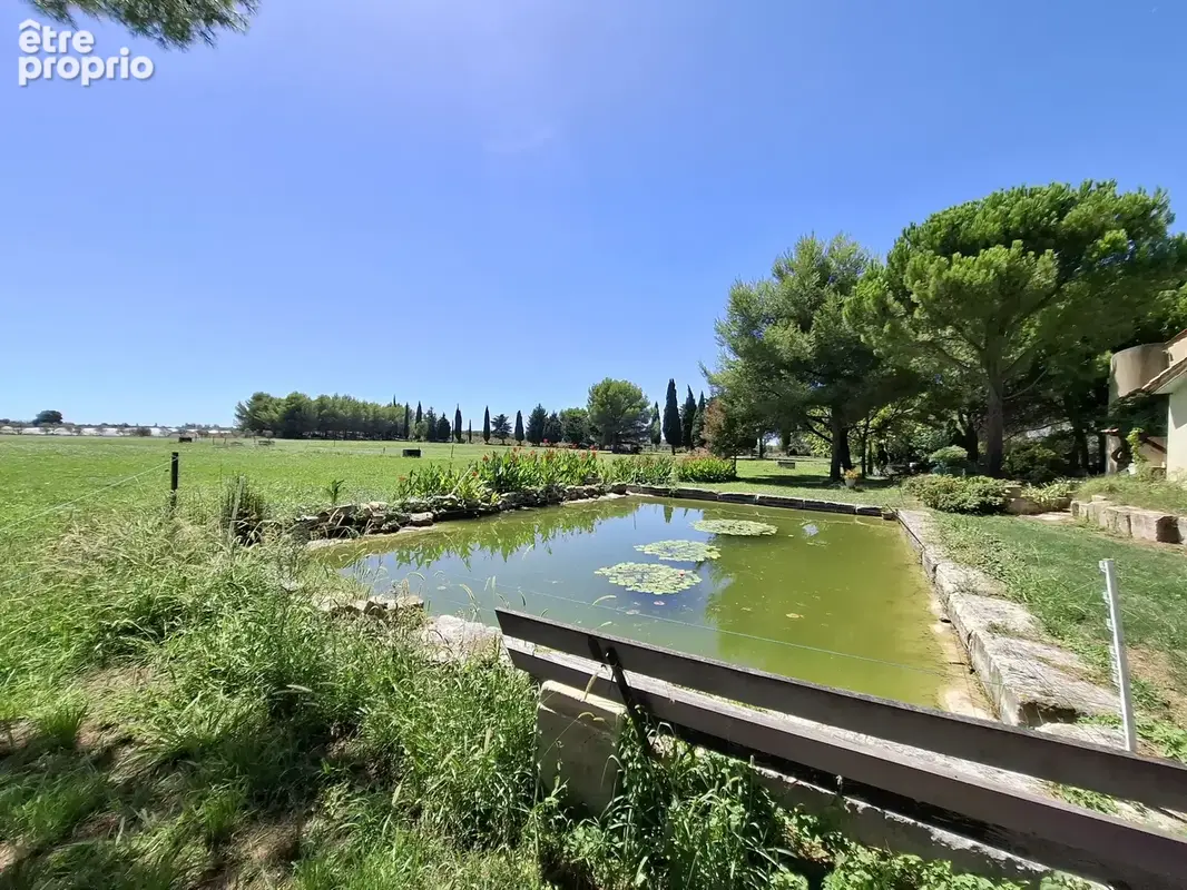 Domaine entre Alpilles et Arles - photo 18
