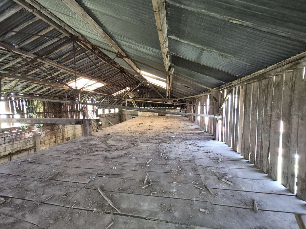 Maison avec dépendance et 2000 m2 terrain - photo 27