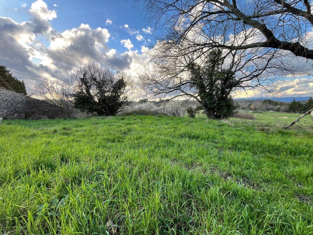 Terrain à LES ASSIONS