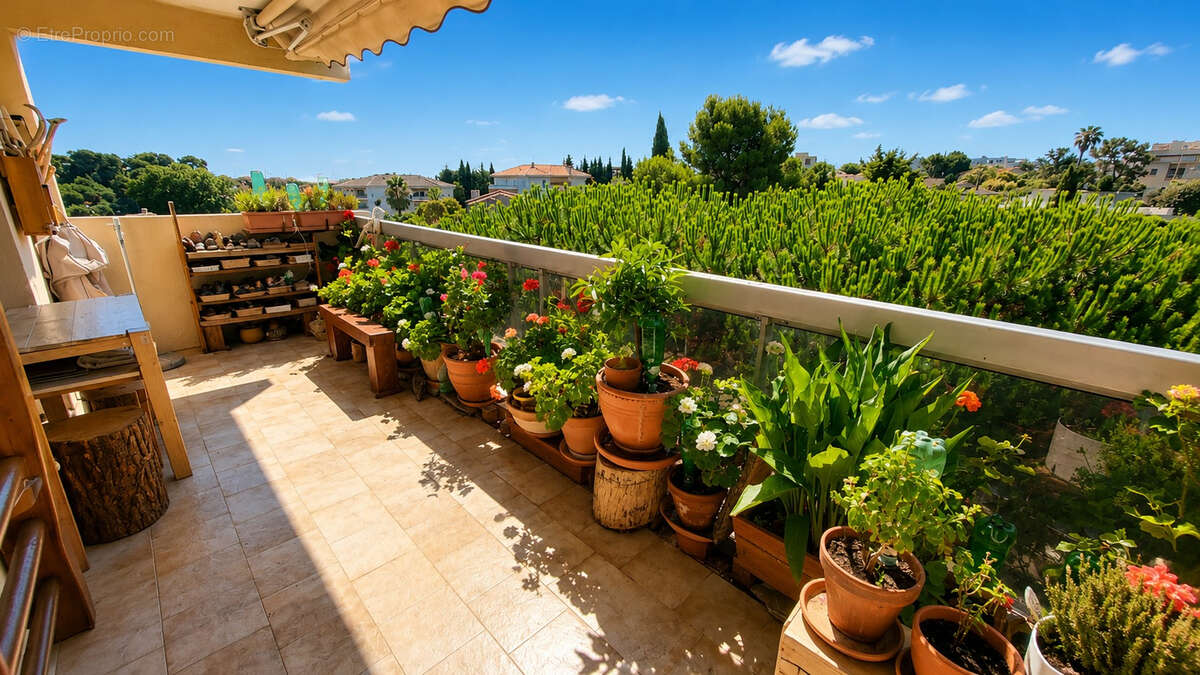 Antibes Combes - Appartement d'angle  3 pièces 65 m2 - Dernier étage - photo 2