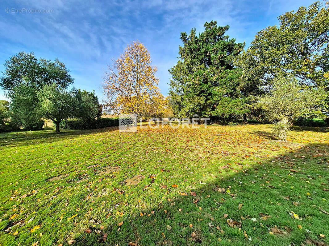 Maison à NOYAL-CHATILLON-SUR-SEICHE