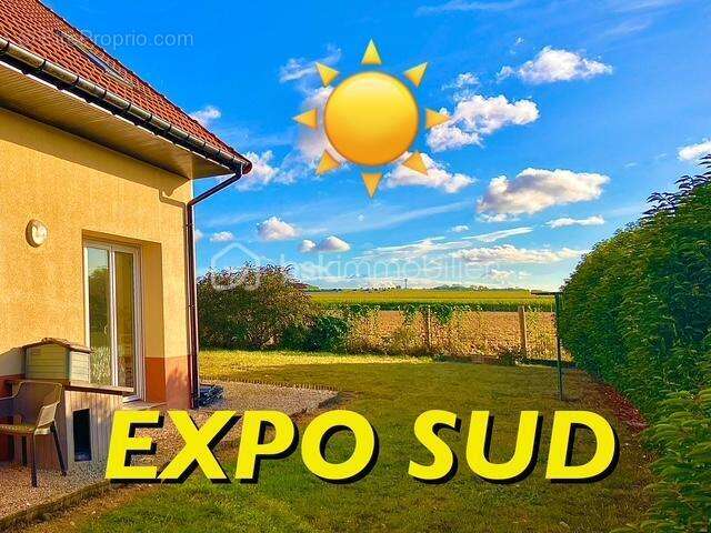 Maison à FAUQUEMBERGUES