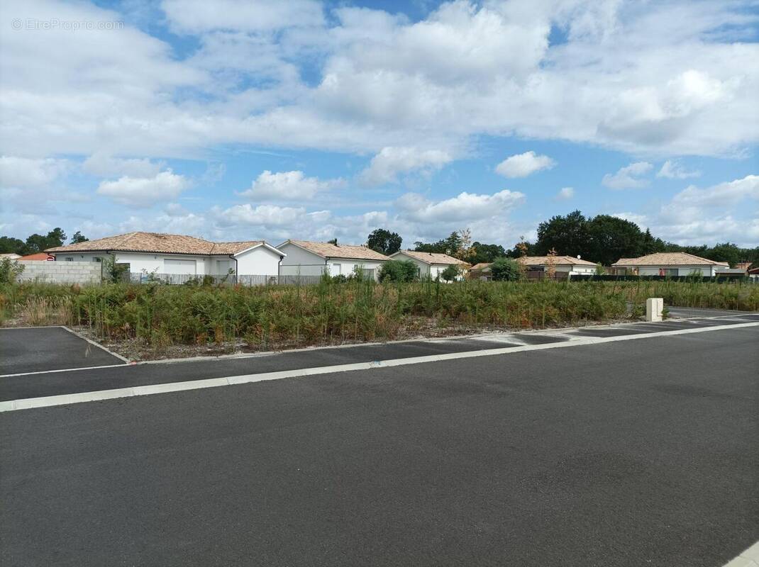 Terrain à PARENTIS-EN-BORN