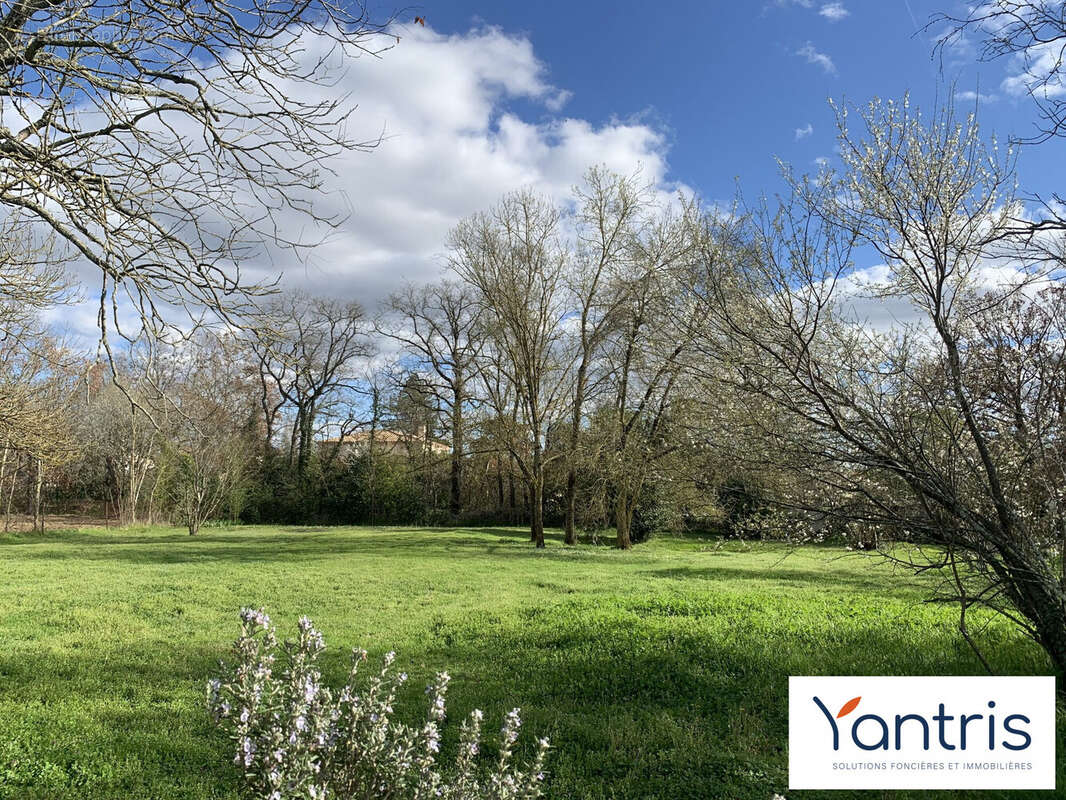 Maison à TOURNEFEUILLE