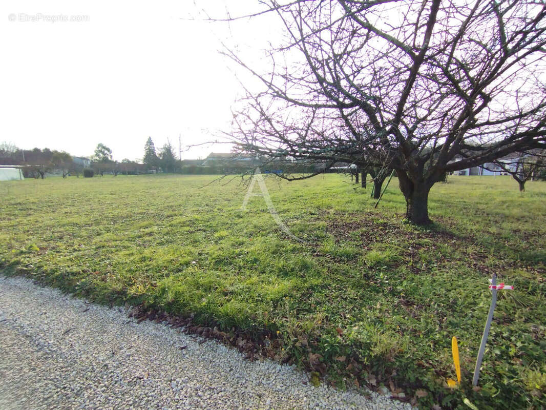 Terrain à SALIGNAC-SUR-CHARENTE