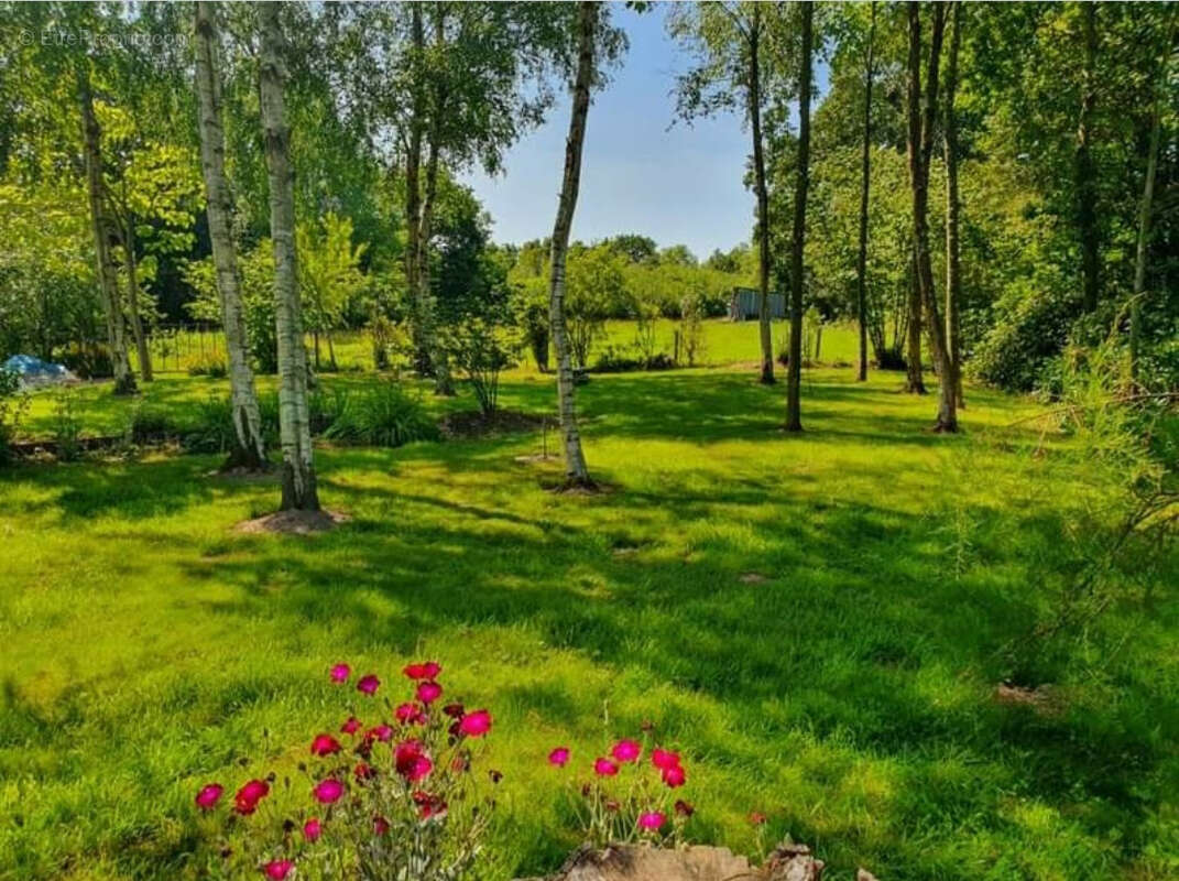 Maison à LE MESNIL-EURY