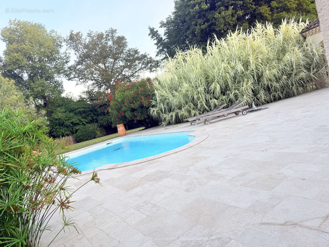 Bien rare ! pour les amoureux de la tranquilite et de la nature ! - photo 28
