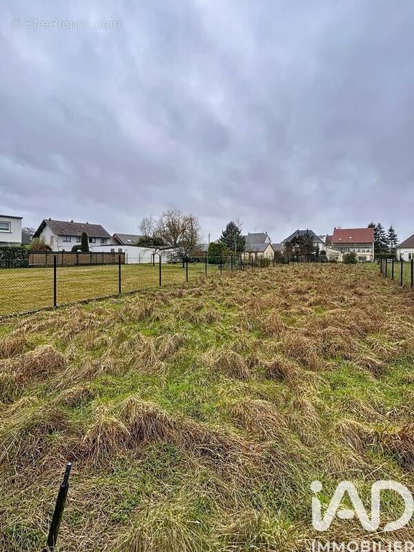 Photo 1 - Terrain à SARRALBE