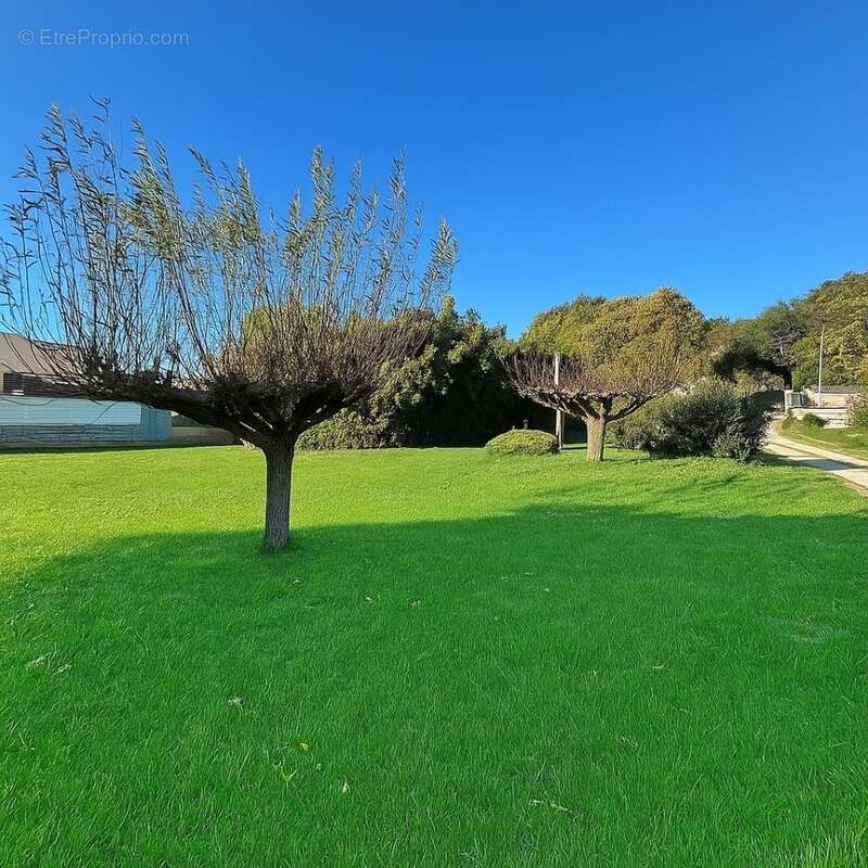 Terrain 750 m² à Donzere  - photo 2