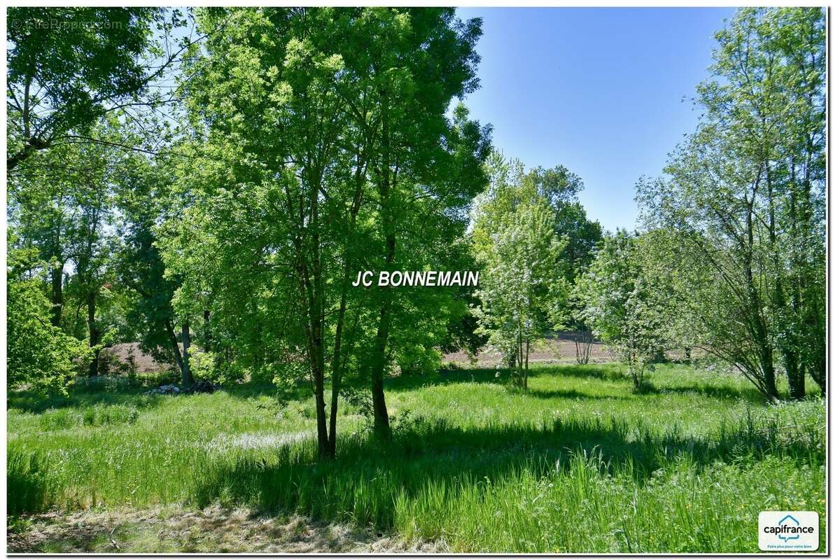 A vendre sur 1,14 Ha - Maison 1 à Réhabiliter 200 m² / Maison 2 Habitable Immédiat CHERMIGNAC (17) - photo 2