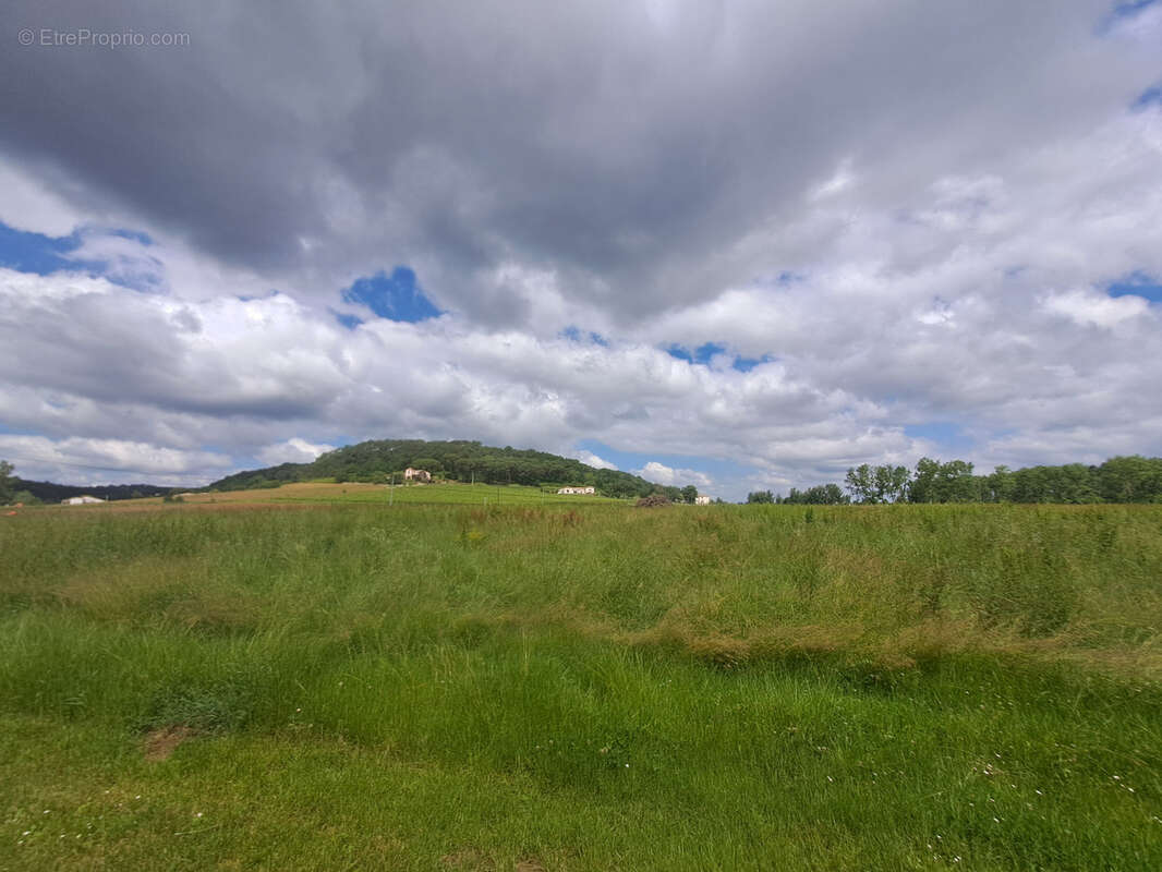 Maison à BUZET-SUR-BAISE