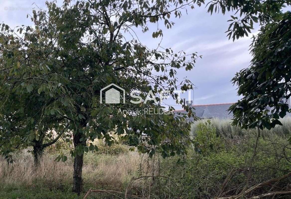 Photo 3 - Terrain à POMMERIT-JAUDY