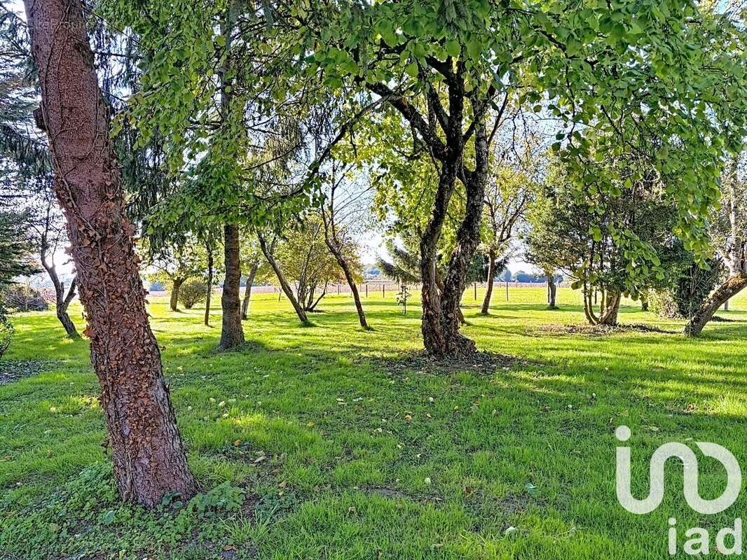 Photo 4 - Maison à GENILLE