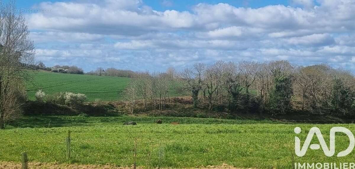 Photo 2 - Maison à PLOZEVET