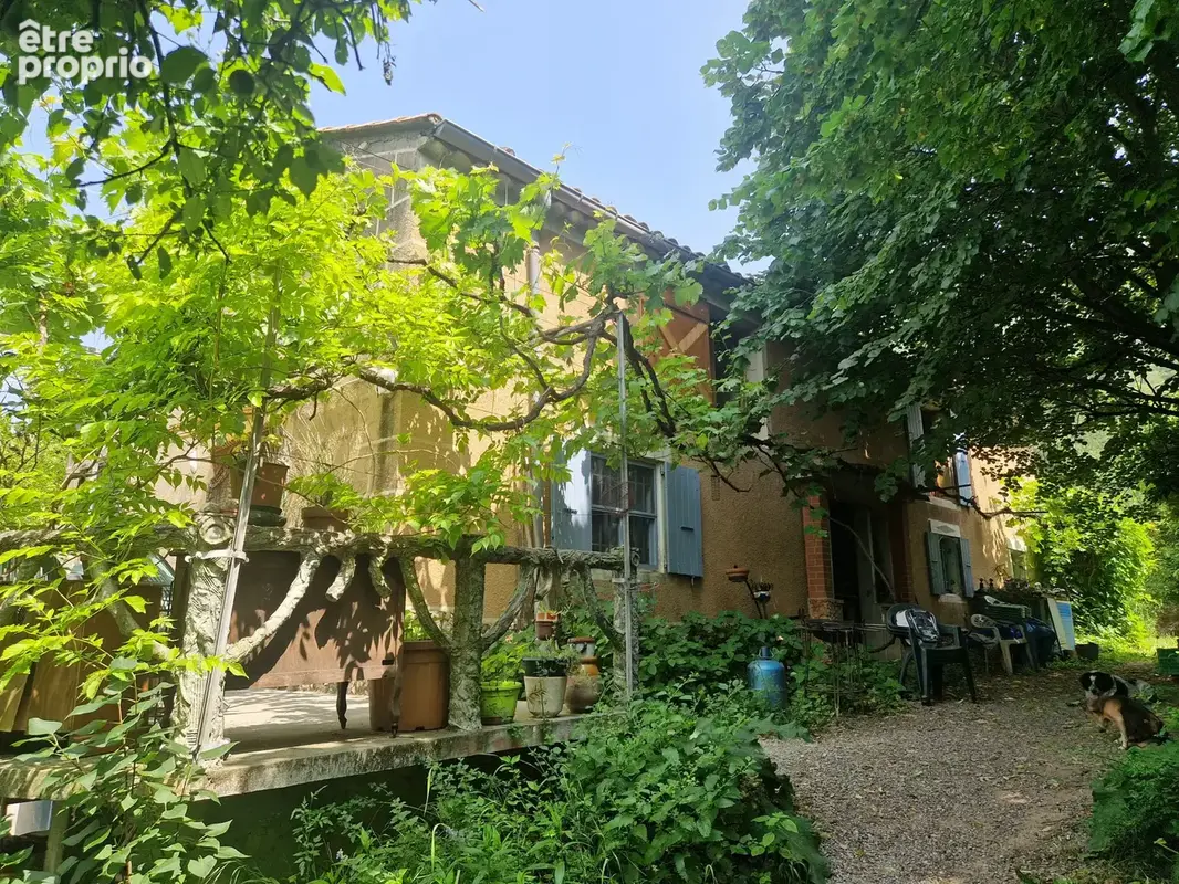 Cadre paradisiaque - photo 5