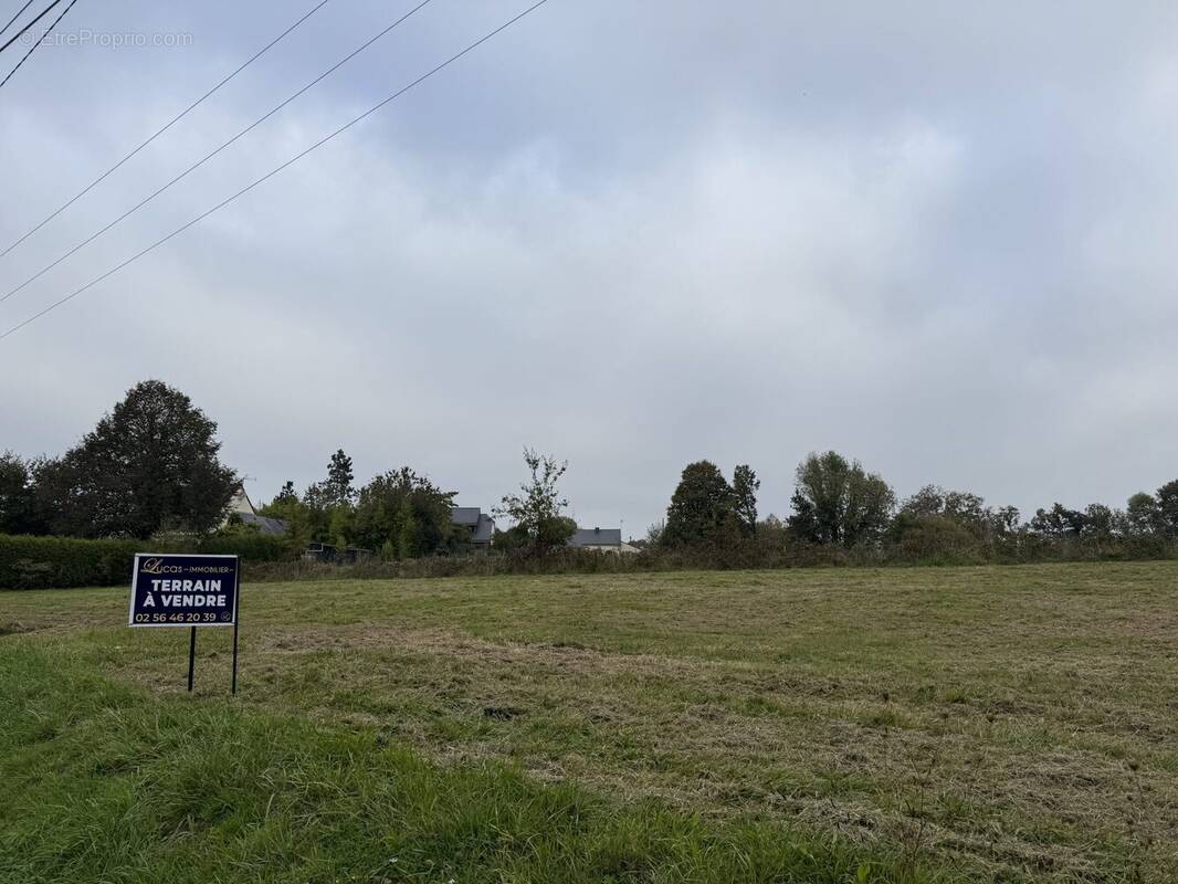 Terrain à QUIMPERLE