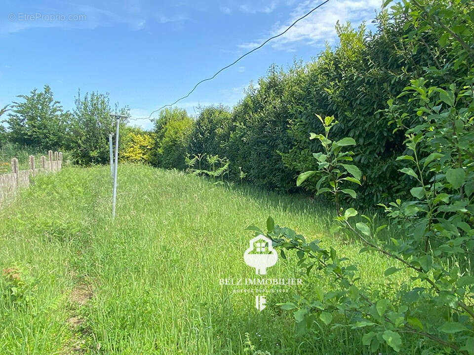 Maison à BELZ