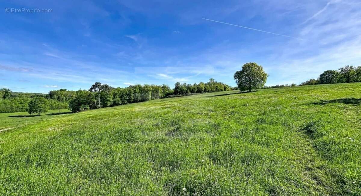 Propriété dans le Tarn et Garonne - photo 4