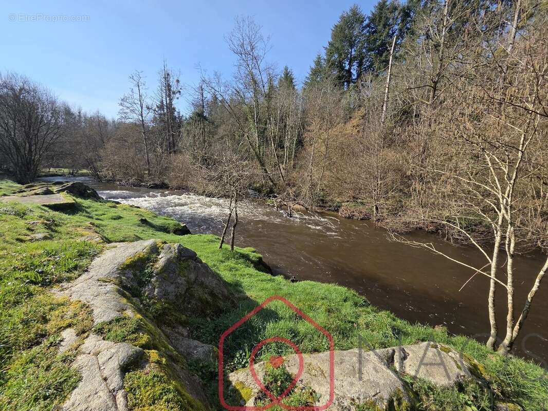 Propriété 9 pièces 289m2 - photo 27