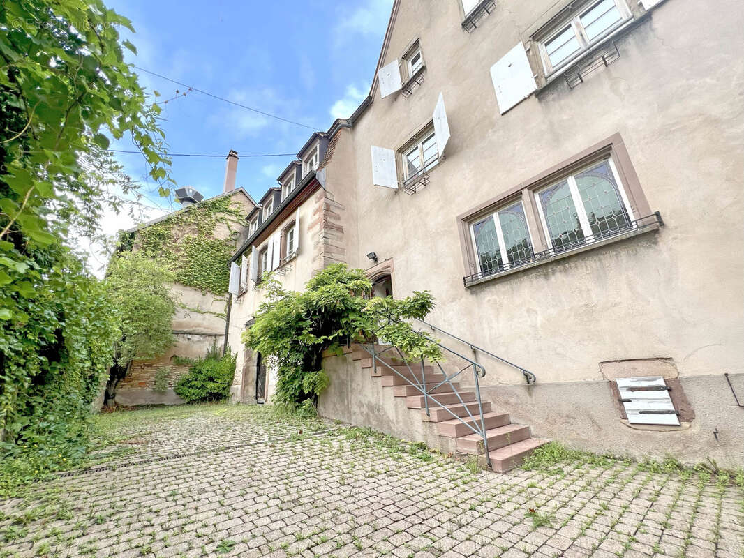 Appartement à MITTELBERGHEIM