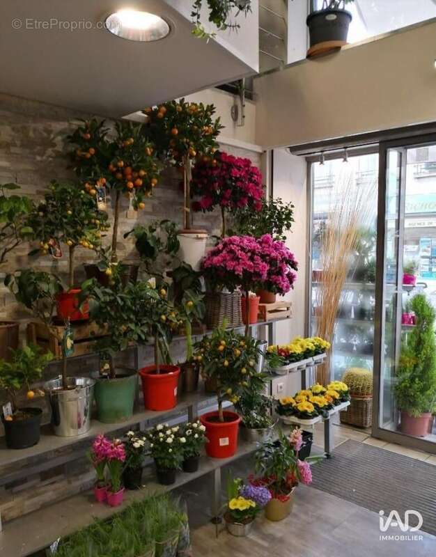 Photo 4 - Commerce à TOURS