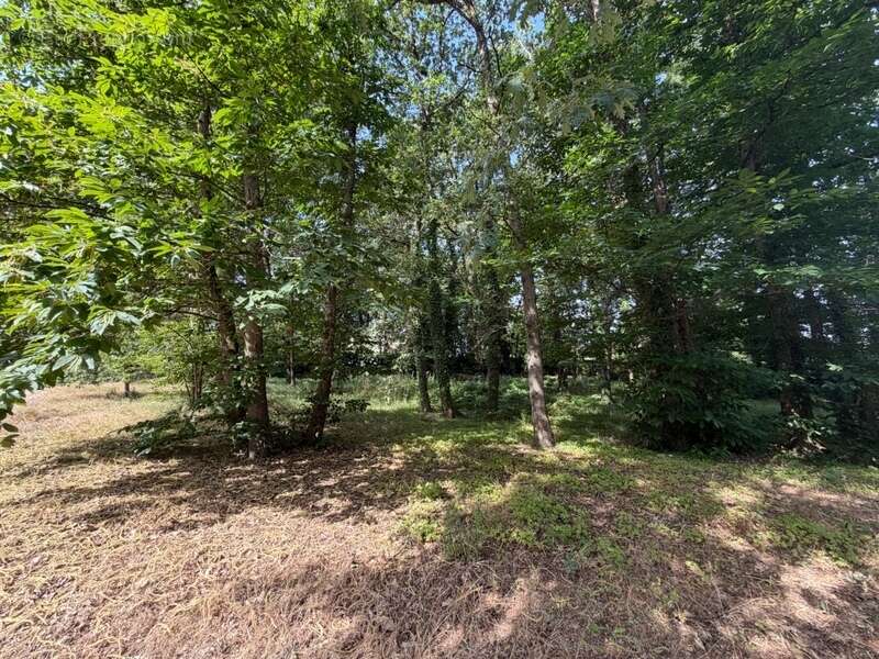 Dpt Maine et Loire (49), à vendre BAUGE terrain - photo 3