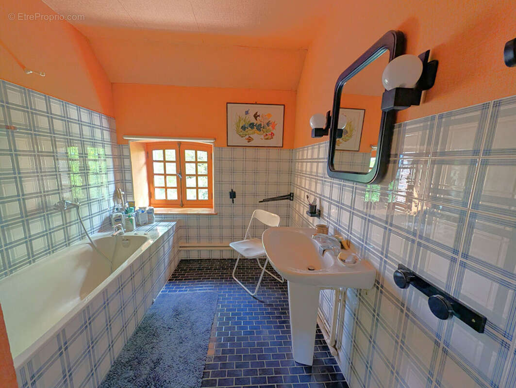 Maison à AILLANT-SUR-THOLON