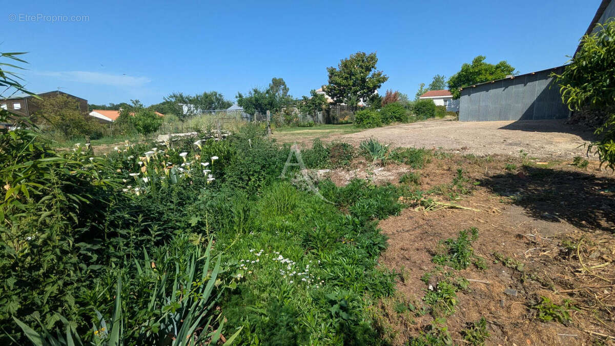 Terrain à LA ROCHE-SUR-YON