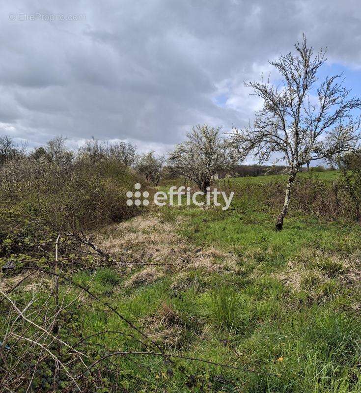 Terrain 1810 m² à Rougemontot  - photo 2