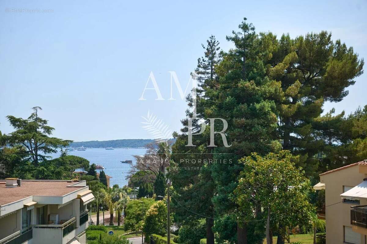 Cannes Basse Californie - Appartement 5 pièces 130m2 - Vue mer - photo 9