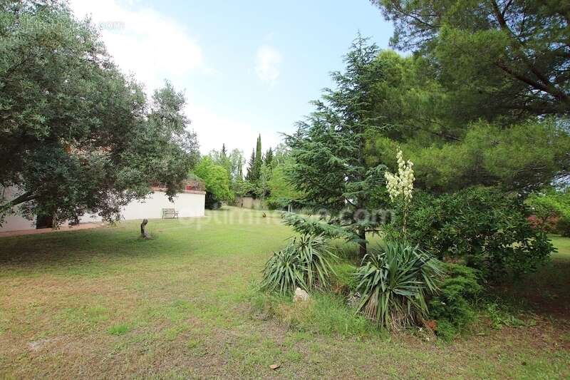 Propriete a vendre proche de l'etang de thau - photo 4