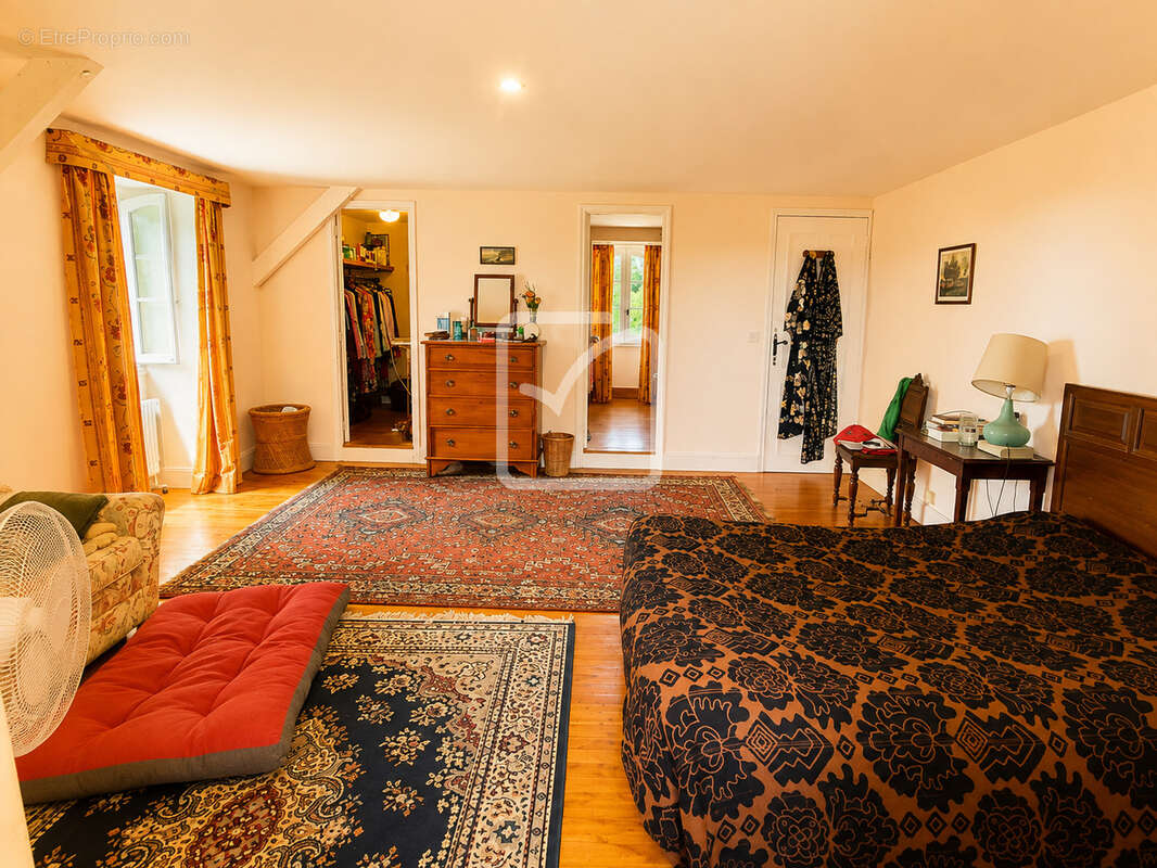 Maison T5 avec piscine, 4 chambres - étang - dépendances et plus de 2,14 hectares de terrain - Un cadre de vie - photo 22