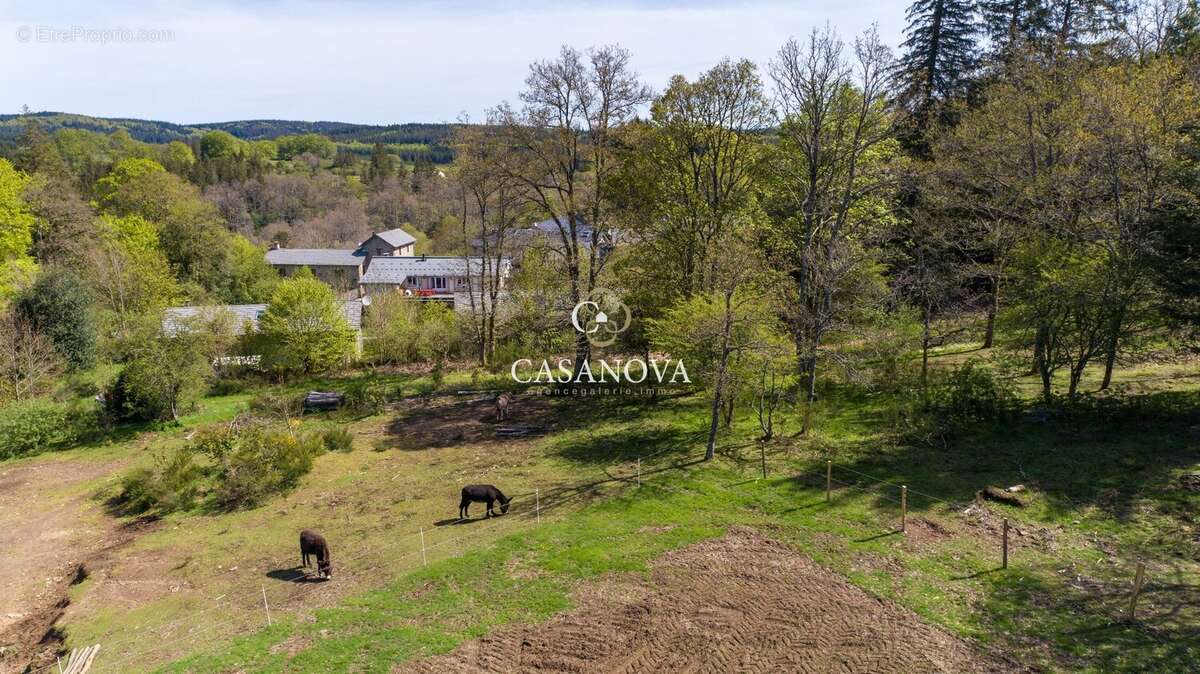 Domaine touristique avec gîtes et salle de réception sur 4 hectares dans les Hauts Cantons de l'Hérault - photo 3