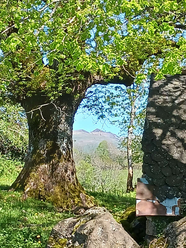 Maison à SAINT-MARTIN-VALMEROUX