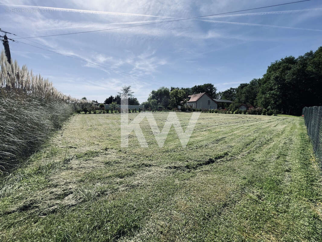 Terrain à FONTAINES-EN-SOLOGNE