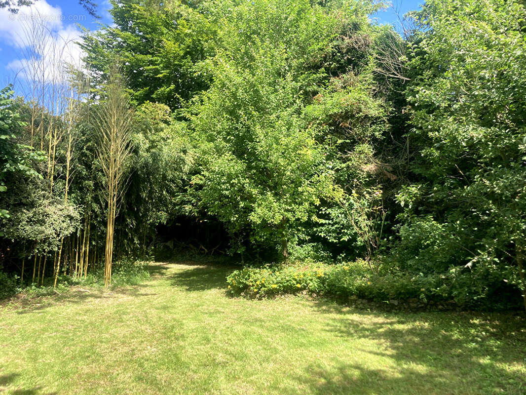 Terrain de loisirs 30m² à boutigny-sur-essonne - photo 3