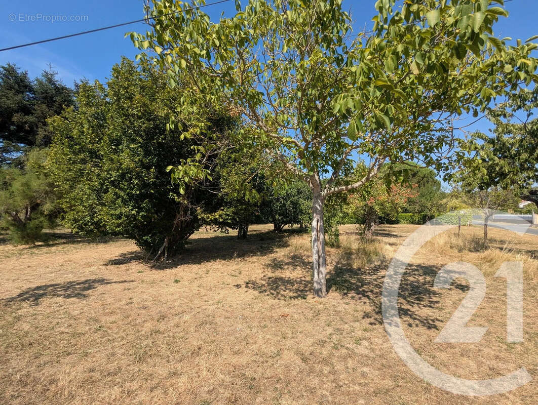 Terrain 700 m² à Gaillac  - photo 4