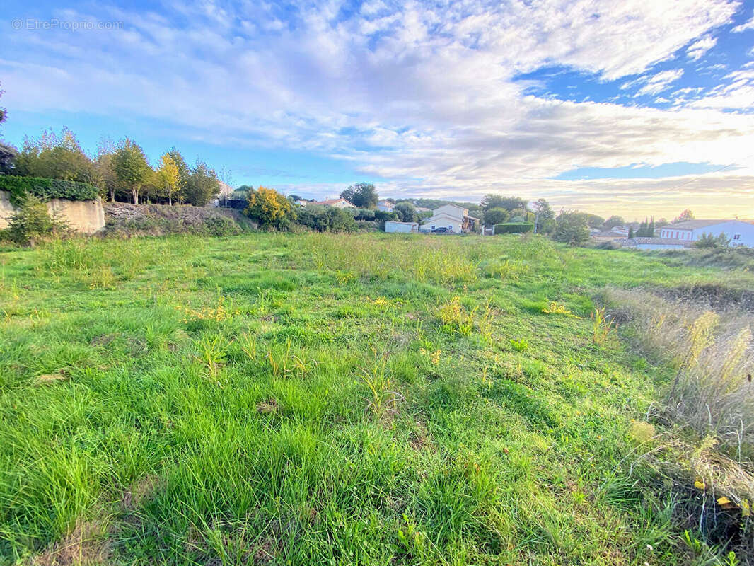 Terrain à CONNAUX