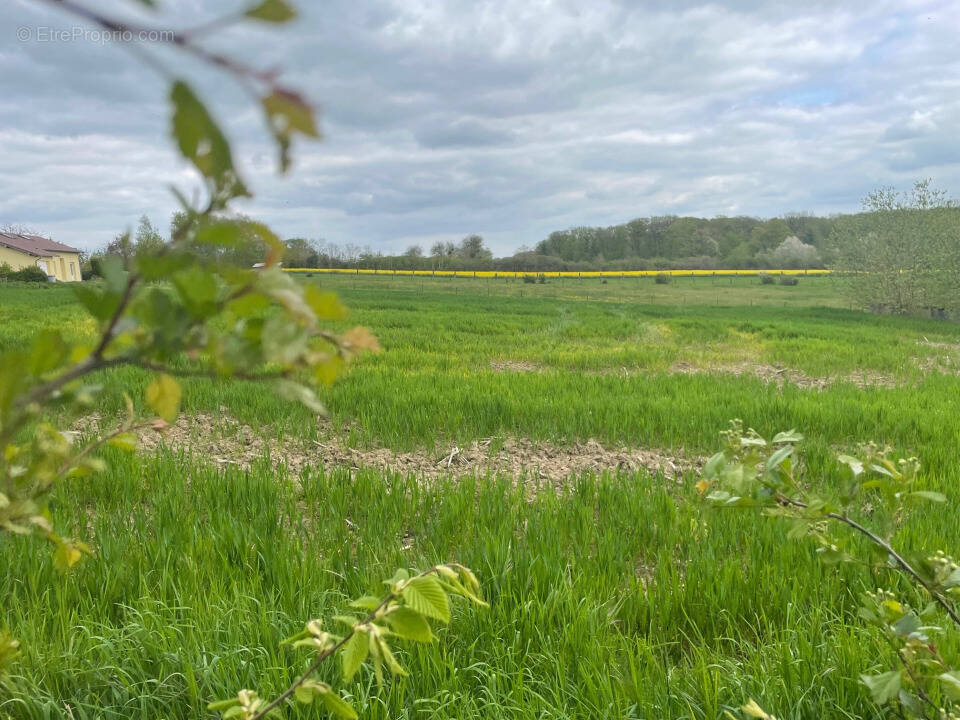 Terrain à HAGEN