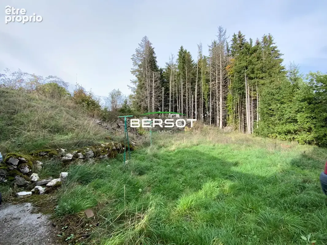 Terrain à bâtir proche de la frontière suisse - photo 3