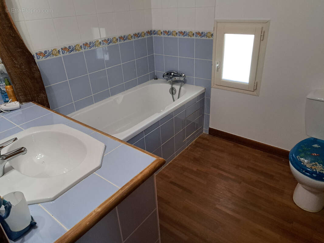 Propriete avec maison-piscine-terrain-local-bois - photo 11
