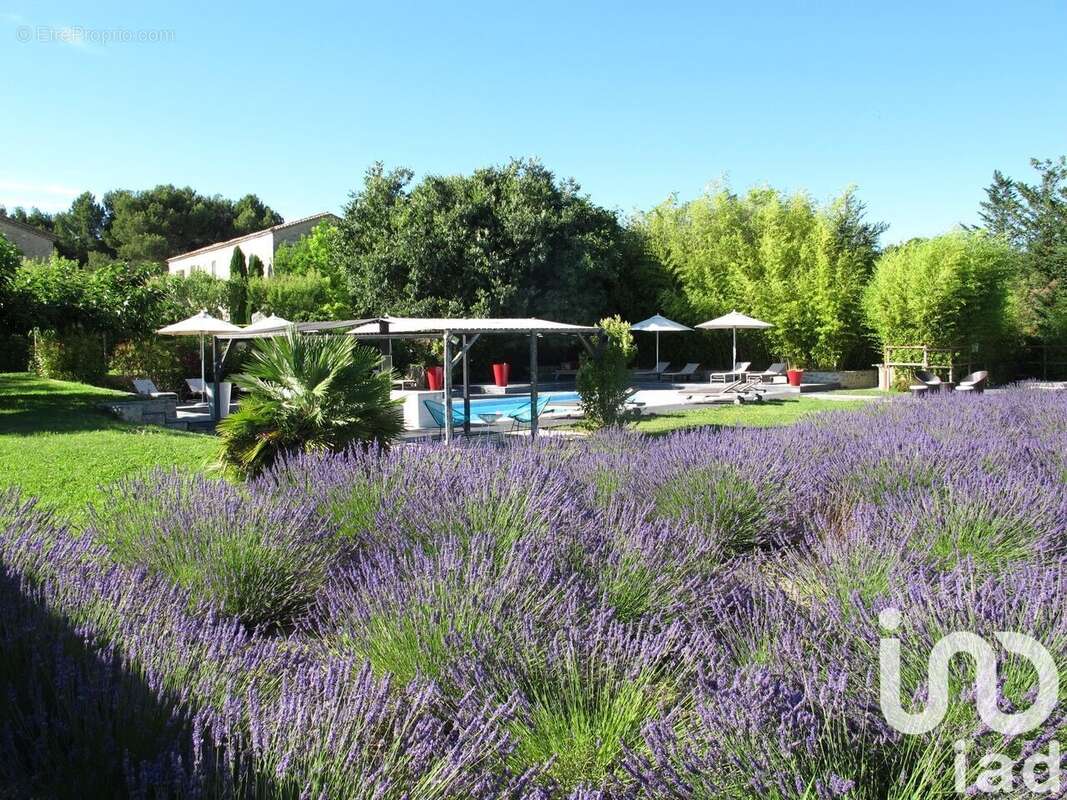 Photo 5 - Maison à GORDES