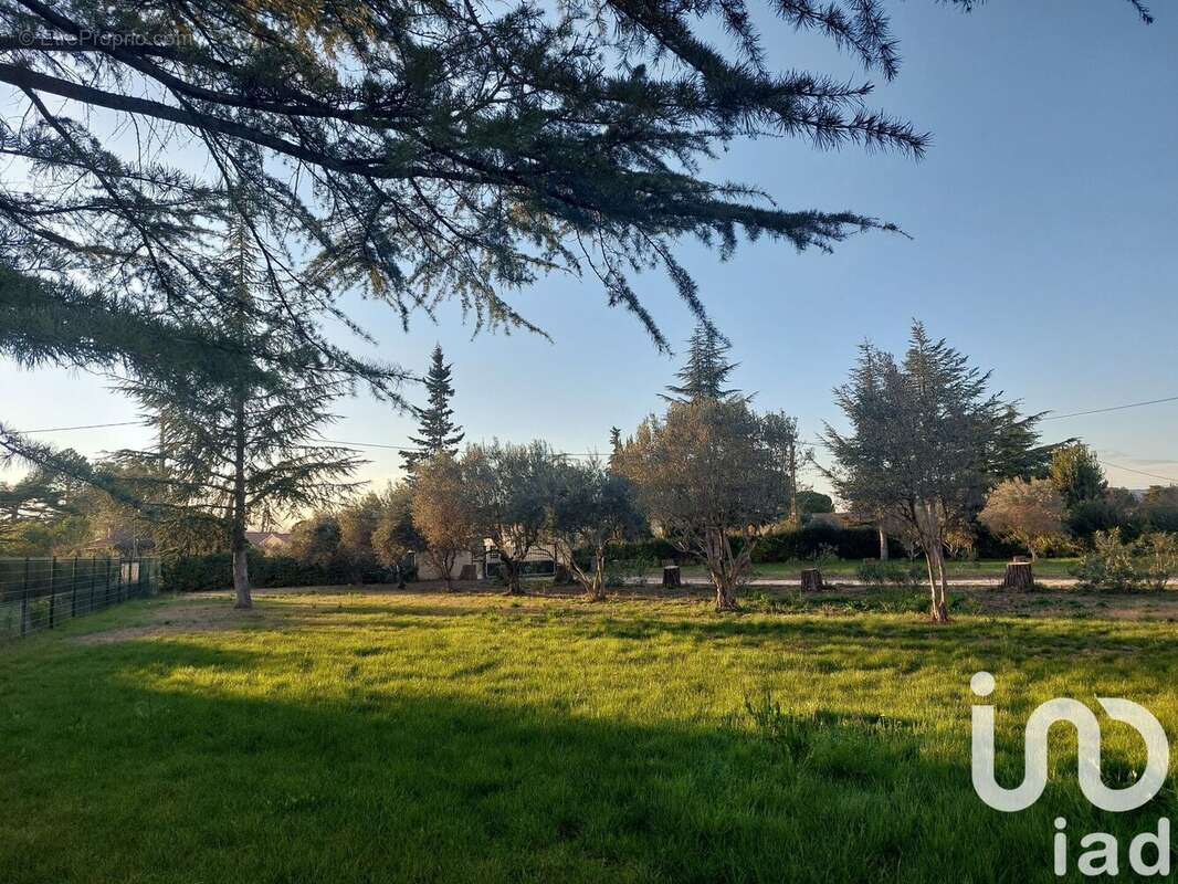 Photo 2 - Terrain à CARPENTRAS