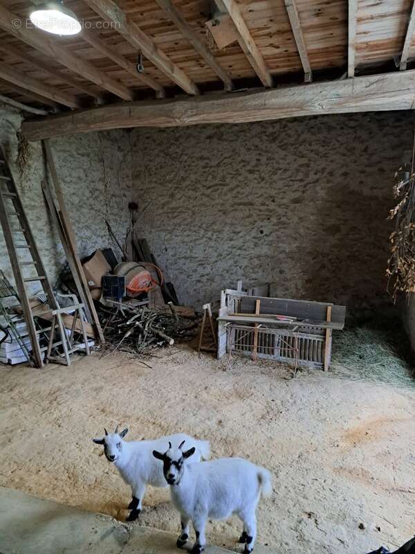 Maison à LA BROSSE-MONTCEAUX