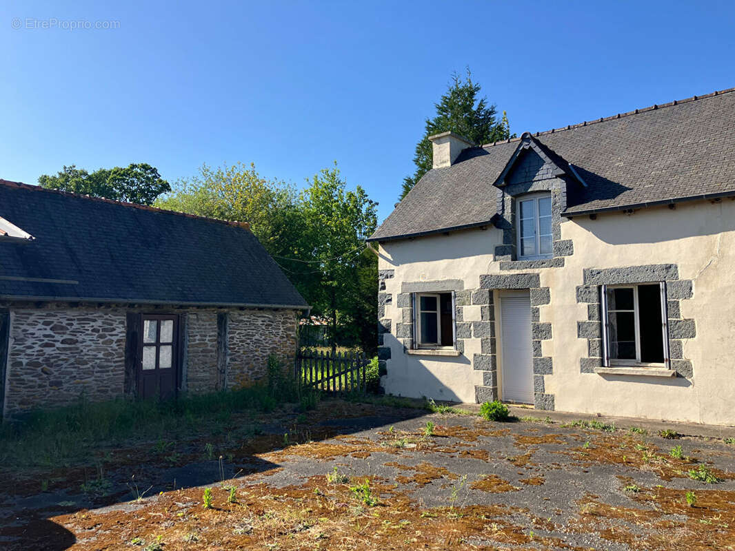 Maison à COLLINEE