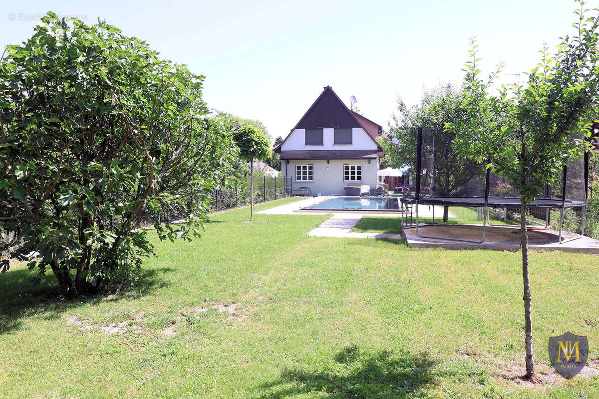 Hégenheim centre belle maison 6 pièces de 137 m2 avec piscine sur 15 ares de terrain - photo 11